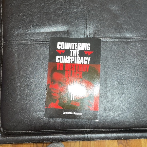 Countering the Conspiracy to Destroy Black Boys - Picture 4 of 5